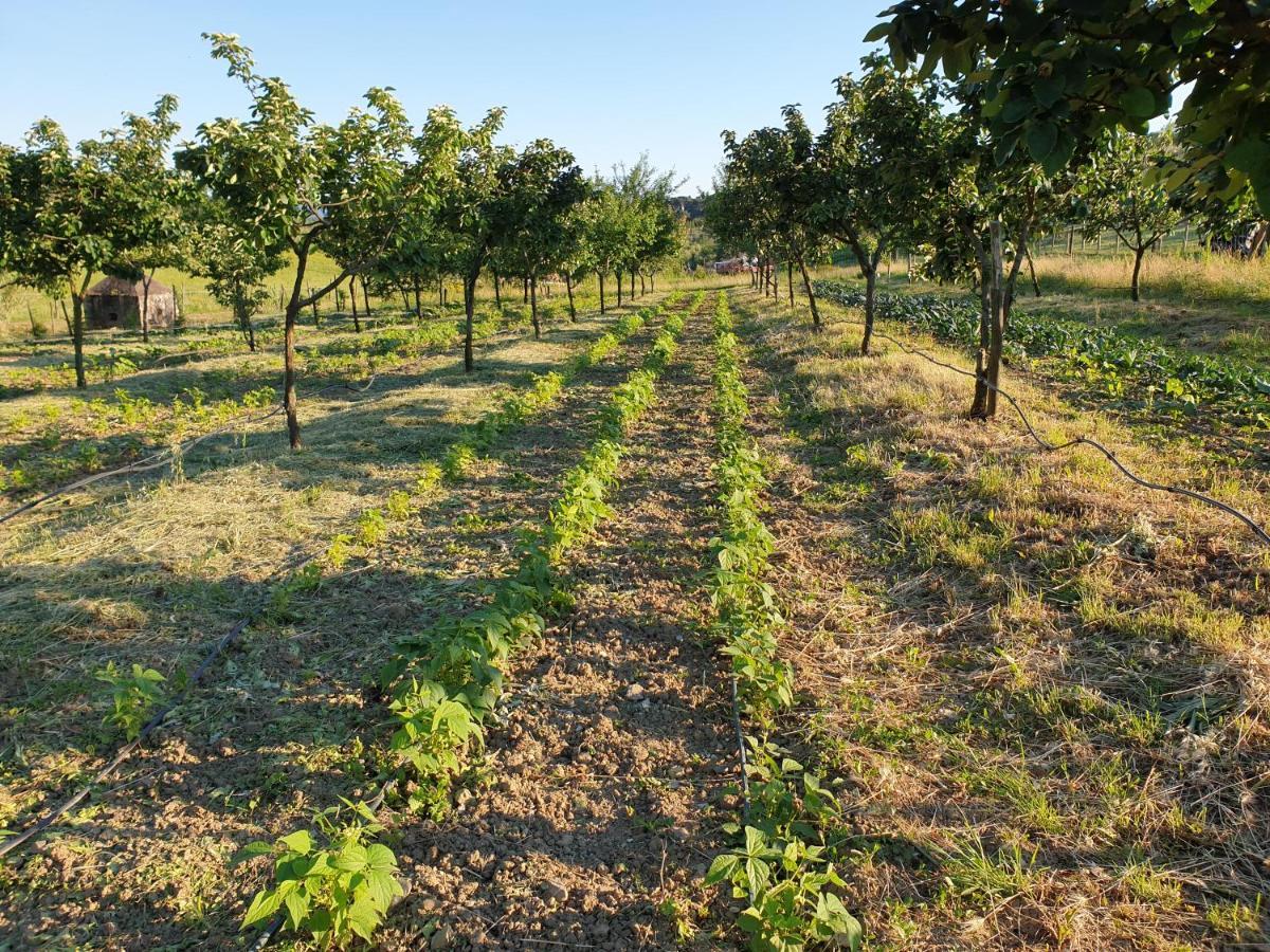 Pensjonat Fattoria Di Maiano Fiesole Zewnętrze zdjęcie
