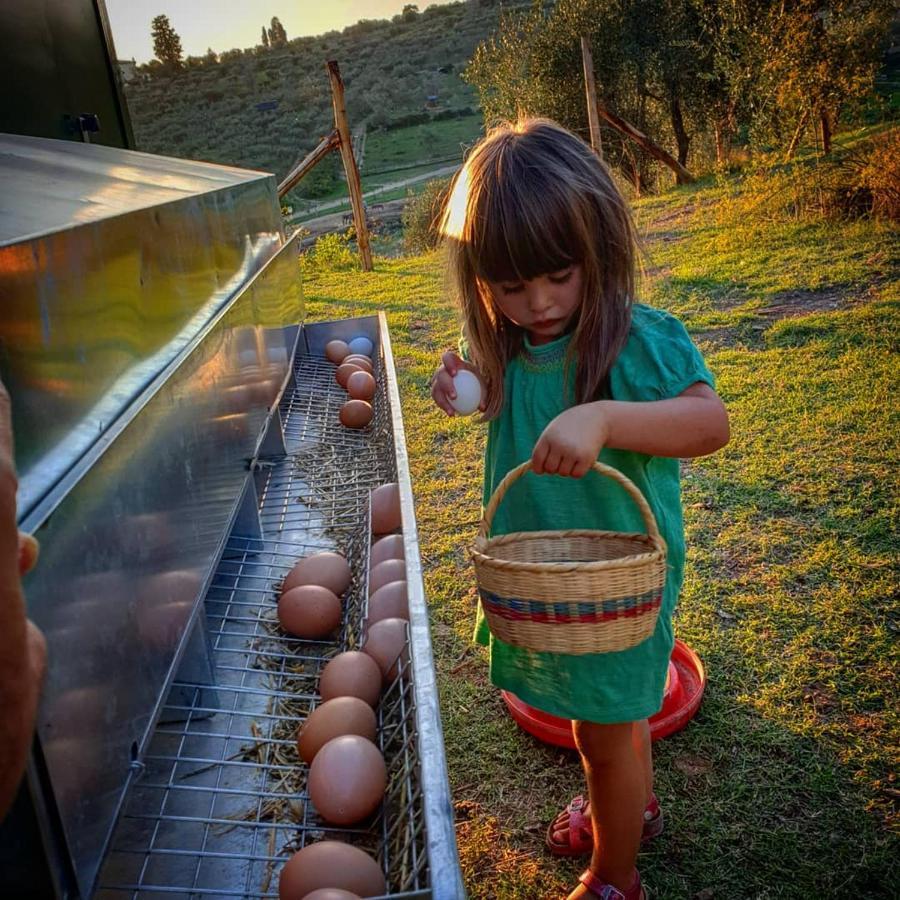 Pensjonat Fattoria Di Maiano Fiesole Zewnętrze zdjęcie
