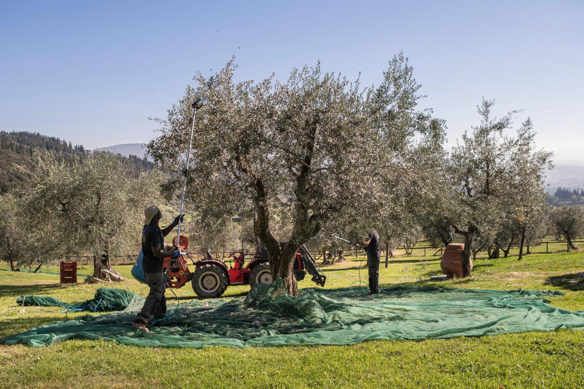 Pensjonat Fattoria Di Maiano Fiesole Zewnętrze zdjęcie