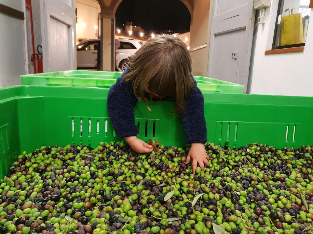 Pensjonat Fattoria Di Maiano Fiesole Zewnętrze zdjęcie
