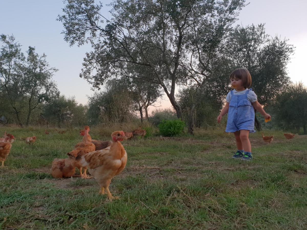 Pensjonat Fattoria Di Maiano Fiesole Zewnętrze zdjęcie